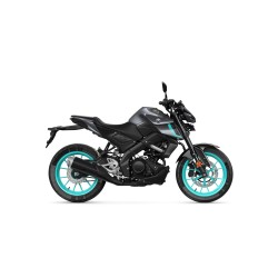 2024 YAMAHA MT-125