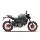 DUCATI Monster